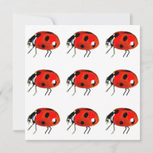 Lieveheersbeestjes Notecard Feestdagenkaart
