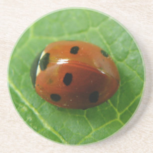 Lieveheersbeestjes Onderzetters