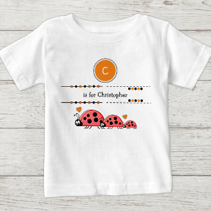 Lieveheersbeestjes voeg naam toe zwart en oranje