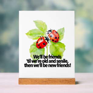 Lieveheersbeestjes vriendschapsquote grappige verj acryl bord