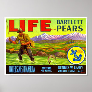 Life Brand Bartlett Peren krat label Schmidt Lith Poster