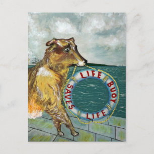 Life Buoy-zeep  adverteren poster Briefkaart