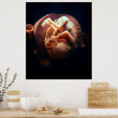 LIFE in de WOMB Poster (Keuken)