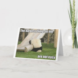 Life is Hard Panda greecard Kaart