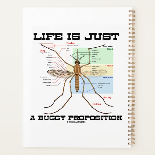 Life Is Just A Buggy (Dos)