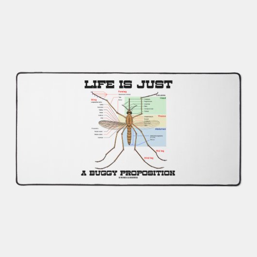 Life Is Just A Buggy (Recto)