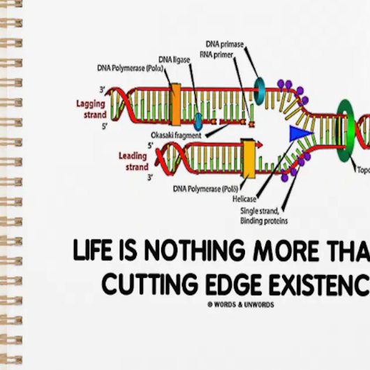 Life Is Nothing More Than A Cutting Edge
