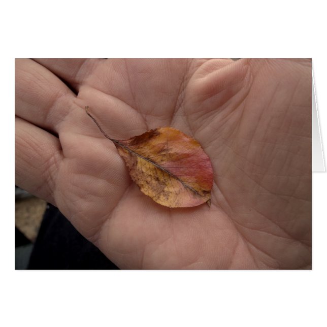 Life Lines 2014 (Voorkant Horizontaal)