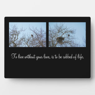 Life Partners Fotoplaat