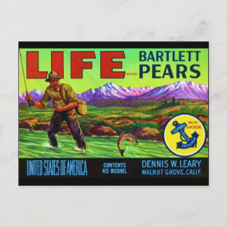 Life Pears Briefkaart