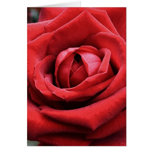 "Life's Journey" Kaart (Voorkant)