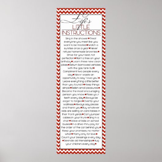 Lifes Little Instructions (rood) Poster (Voorkant)