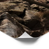 Life's path.Glossy Poster (Coin)