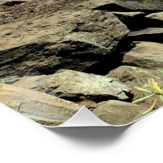 Life's path. Poster (Coin)