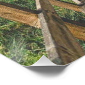 Life's path. Poster (Coin)