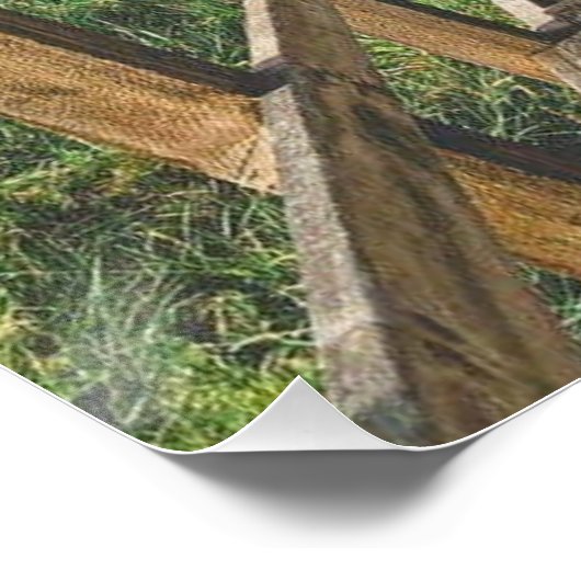 Life's path. Poster (Coin)