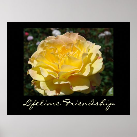 Lifetime Friendship Yellow Rose art prints Roos (Voorkant)