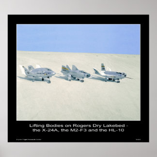 Liflichamen op Rogers Dry Lakebed Poster