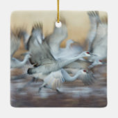 Lift off Sandhill Cranes Keramisch Ornament (Achterkant)