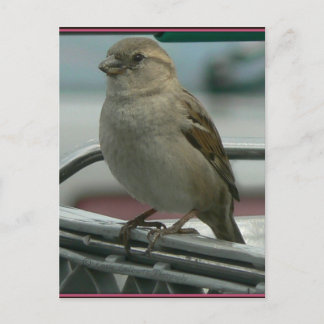 Lifted Love: Cart Bird Briefkaart