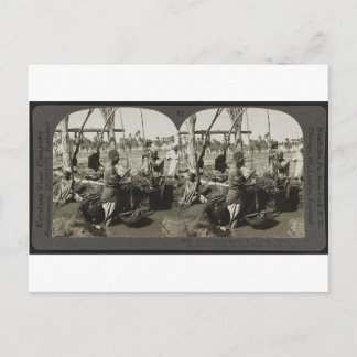 Lifting Water uit de Nijl in Egypte rond 1928 Briefkaart