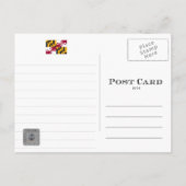 LIGHHOUSE DE LA CHAÎNE CRAIGSHILL - CARTE POSTALE (Dos)