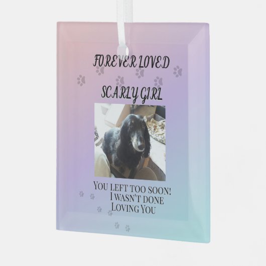 Light Beyond the Rainbow Tribute Glas Ornament (Voorkant links)