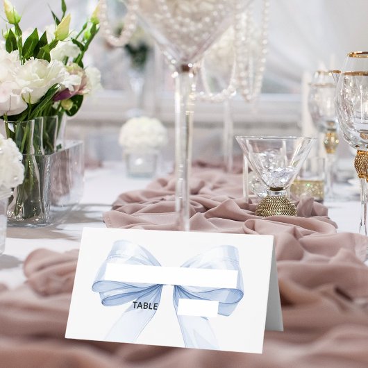 Light blue Bow Place Cards Elegant Folded