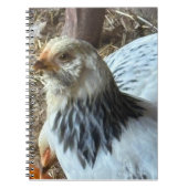 Light Brahma CHicken Notebook Notitieboek (Voorkant)