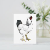 Light Brahma Rooster - Elegant Chicken Briefkaart (Staand voorkant)