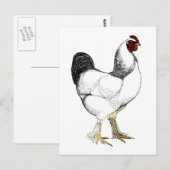 Light Brahma Rooster - Elegant Chicken Briefkaart (Voorkant / Achterkant)