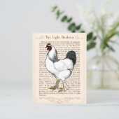 Light Brahma Rooster  Land Classic Briefkaart (Staand voorkant)