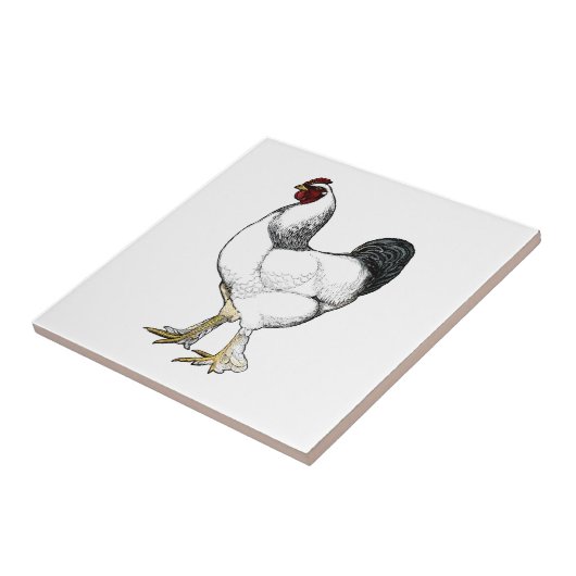 Light Brahma Rooster Style Boerderij Kitchen Tegeltje (Zijkant)