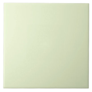Light Green Ceramic Tile Tegeltje