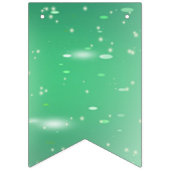 Light Green Princess Birthday Party Vlaggetjes (Eerste vlag)