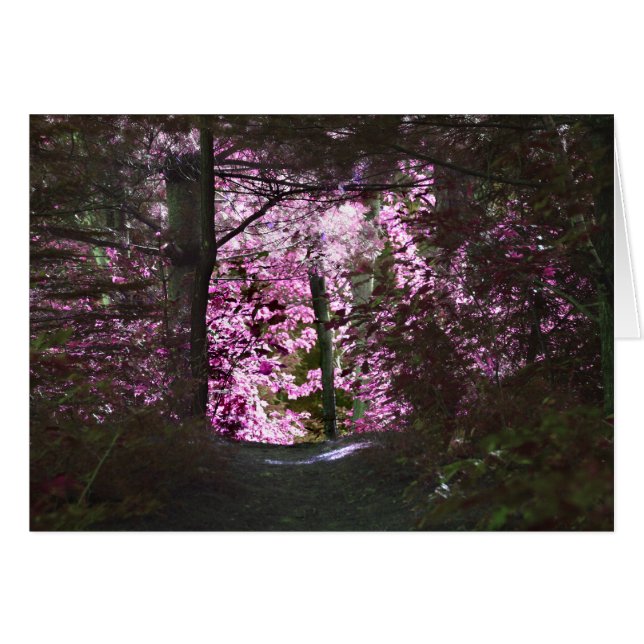 Light On Path Natuur Card (Voorkant Horizontaal)