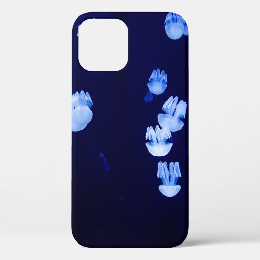 LIGHTED LANTERNS Case-Mate iPhone CASE (Achterkant)