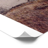 LIGHTHOUSE BIJ NOANK, CT. POSTER (Hoek)