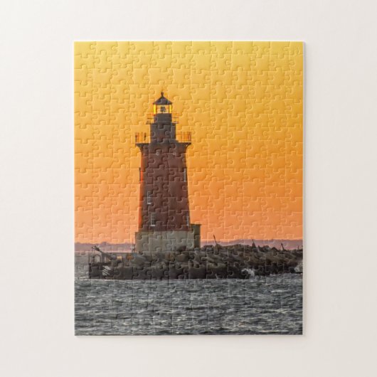 Lighthouse Delaware. Legpuzzel (Verticaal)