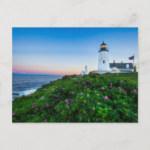 Lighthouses Lighthouse Bristol Maine Briefkaart