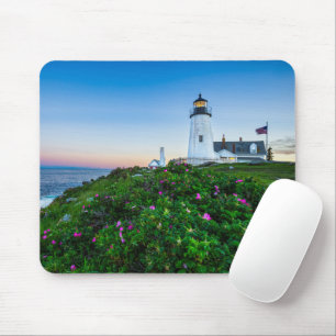 Lighthouses Lighthouse Bristol Maine Muismat