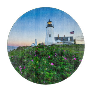 Lighthouses Lighthouse Bristol Maine Snijplank