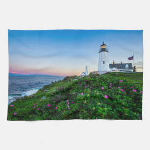 Lighthouses Lighthouse Bristol Maine Theedoek