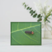 Lightning Bug op Leaf Briefkaart (Staand voorkant)