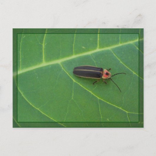 Lightning Bug op Leaf Briefkaart (Voorkant)
