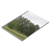 Ligne de Carnet paysager des arbres penchés (Côté gauche)