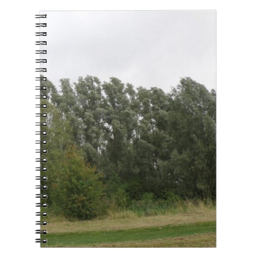 Ligne de Carnet paysager des arbres penchés (Devant)