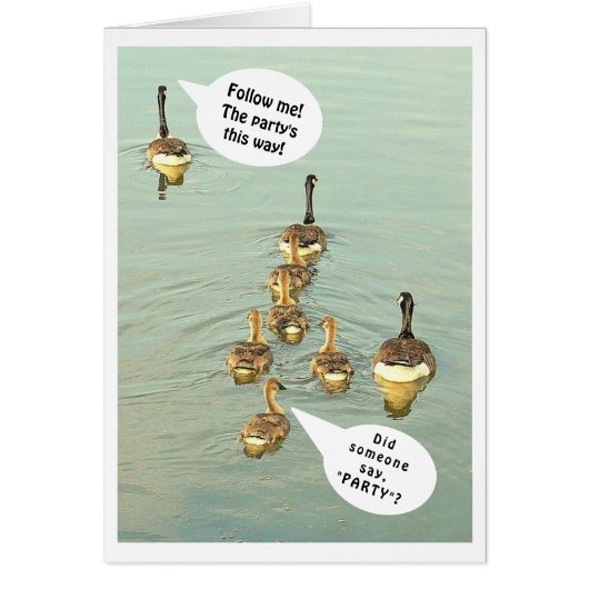 LIGNE DE GEESE/SUIVEZ-MOI ! LA FÊTE EST COMME ÇA ! (Devant)