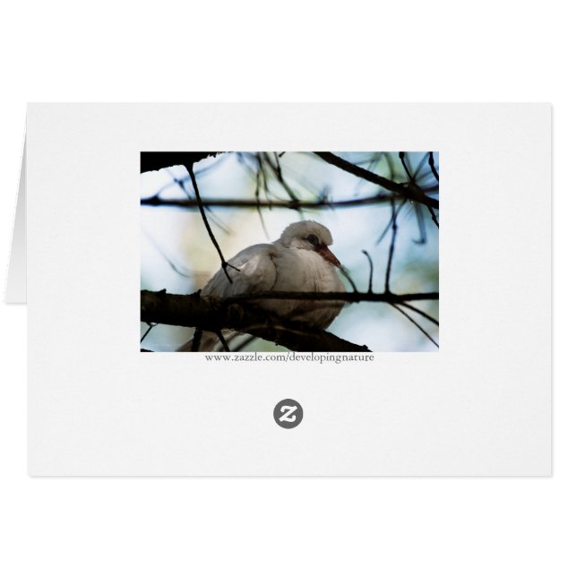 Ligne principale (Dos Horizontal)