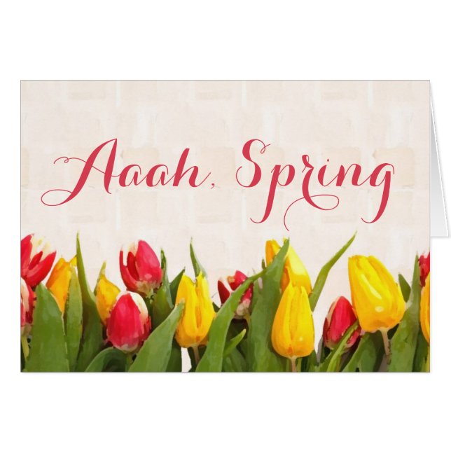 Ligne Tulipe colorée Aaah Spring (Devant horizontal)